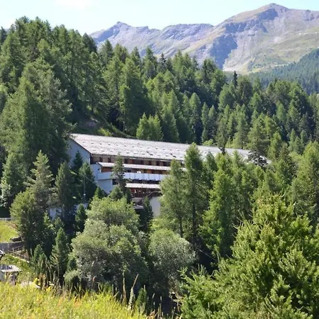 Il Nido Di Montagna